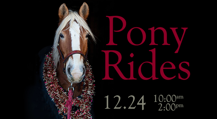 Christmas Pony Rides